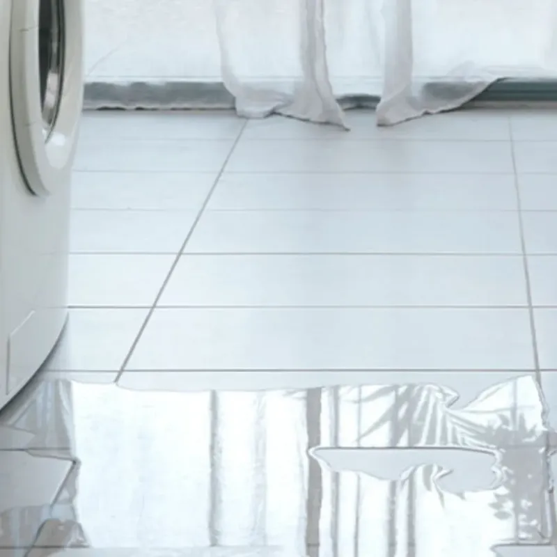 Appliance Leak Cleanup in Manor, TX
