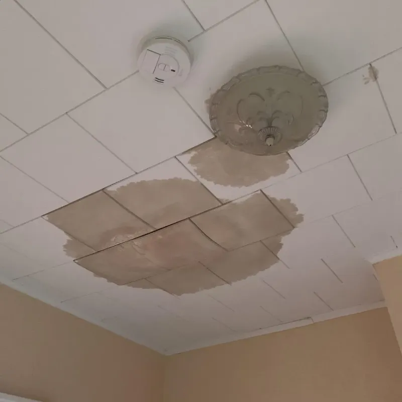 Ceiling Water Damage Repair in Manor, TX